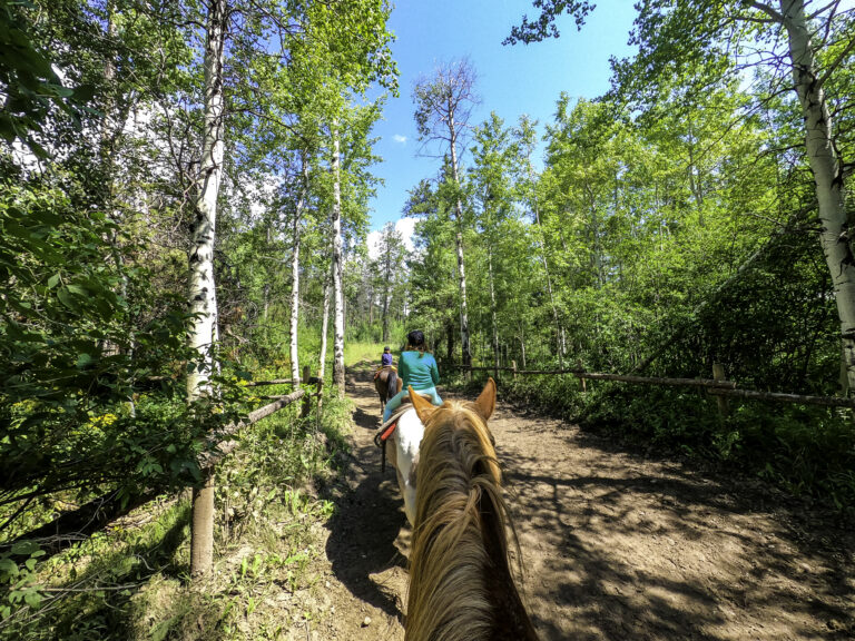 Horseback